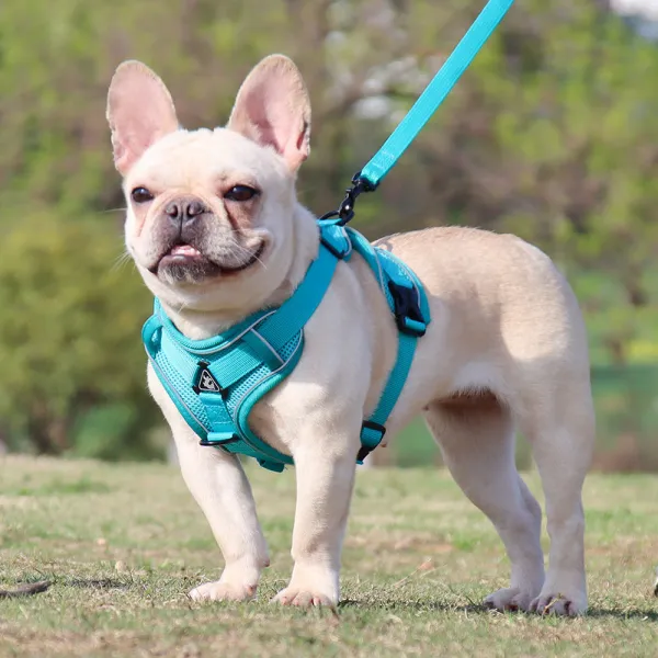 NEW犬ハーネスリードセット6色超小型犬中型犬胴輪抜けない簡単着脱衝撃吸収調節可能引っ張り防止咳き込み軽減散歩出かけ用3M反射材料安全通気犬ハーネスリード