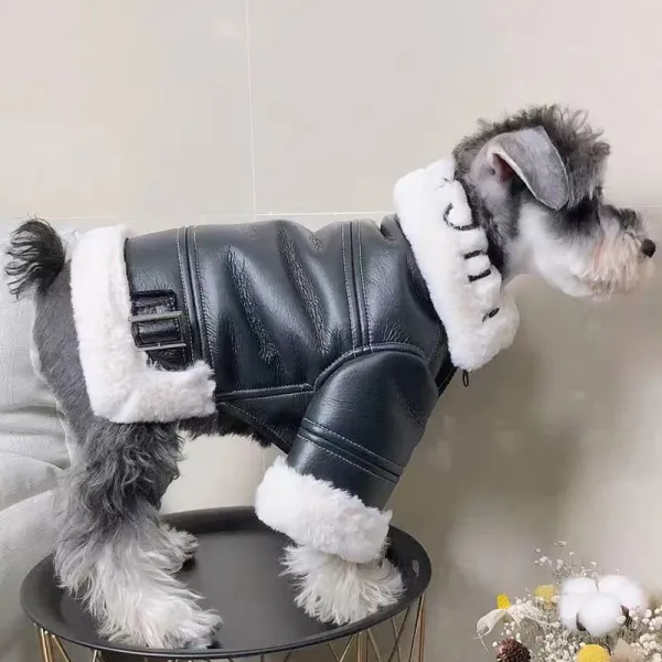 一枚で視線を奪うジャケット犬服防寒保温裏ポカシュナウザーおしゃれかっこいいペット服ドッグウェアペットウェア