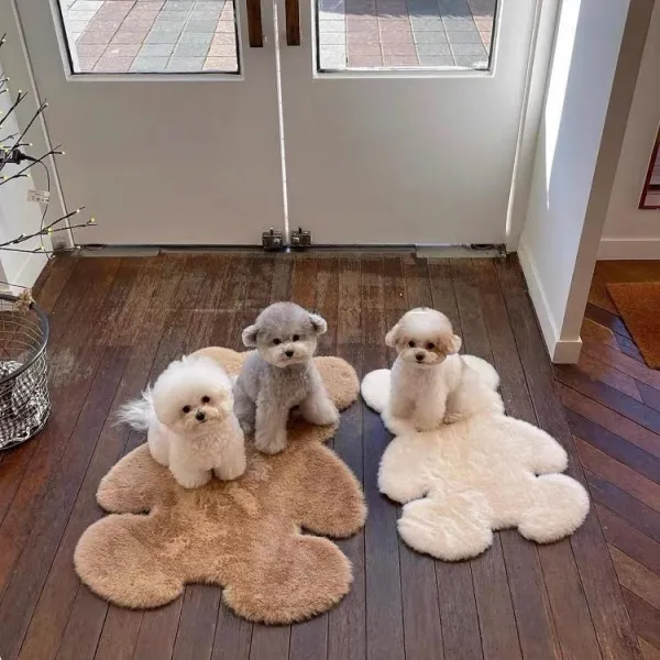 お買い得猫犬用フワフワクマ暖かい防寒柔らかいペット毛布ペット寝具